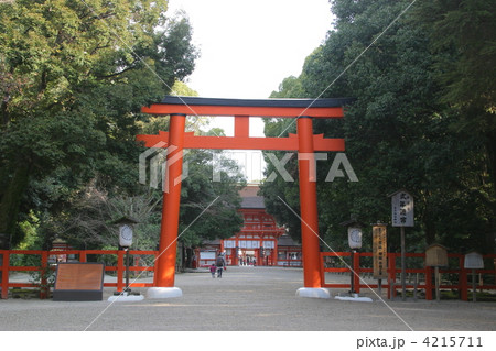 下鴨神社　鳥居 4215711