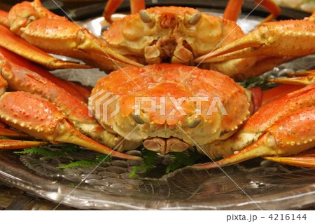 茹でガニ 4216144