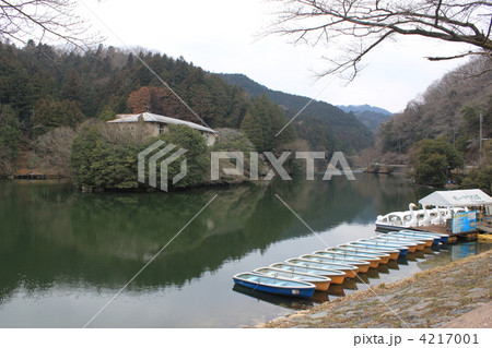 冬の鎌北湖 4217001