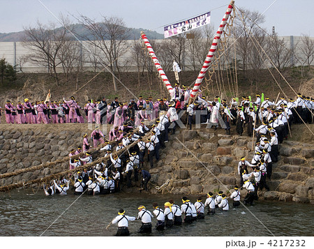 長野　諏訪大社　上社　御柱祭　川越し 4217232