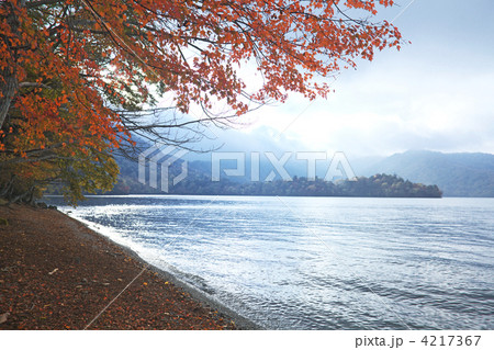 中禅寺湖と紅葉した樹木 4217367