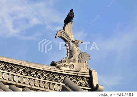 烏と鯱鉾 4217481