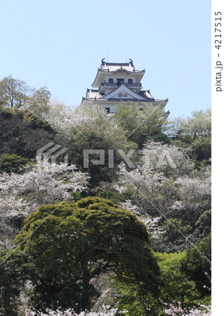 館山城（城山公園） 4217515
