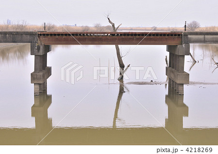 渡良瀬遊水地 渡良瀬遊水地 4218269