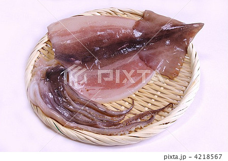 するめいかの一夜干し 4218567