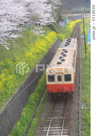 小湊鉄道 キハ200系 小湊鉄道 キハ200系 4219030