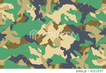 Camouflage seamless vector Camouflage seamless vector 4221057