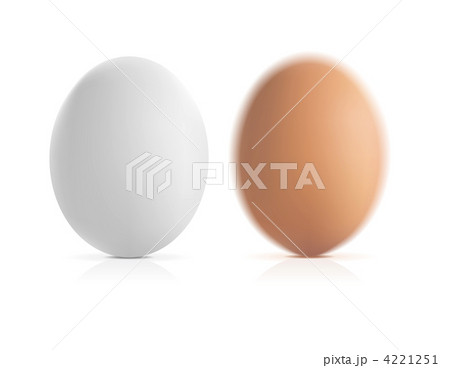 brown and white vector eggs 4221251