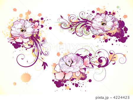 Floral Decorative elements 4224423