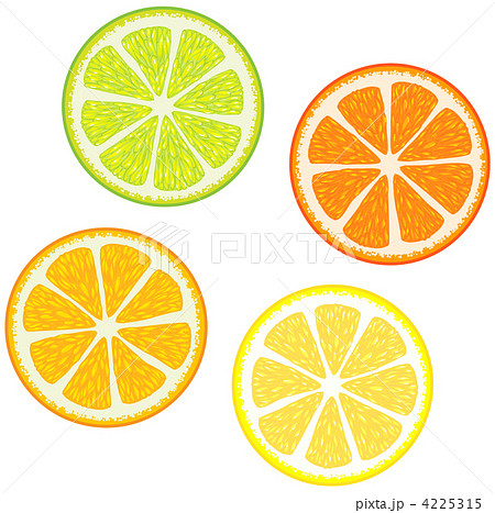 Slices Of Citrus Fruitsのイラスト素材