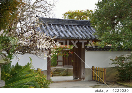 梅林寺 4229080
