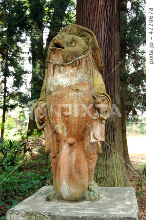 茂林寺の狸 茂林寺の狸 4229678