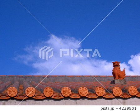 シーサー シーサー 4229901