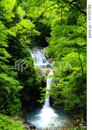 西沢渓谷七ツ釜五段の滝  4230786