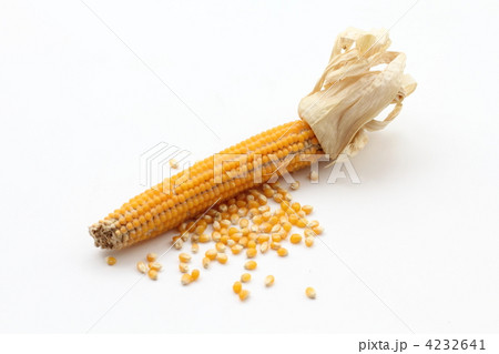 ポップコーンの種 ポップコーンの種 4232641