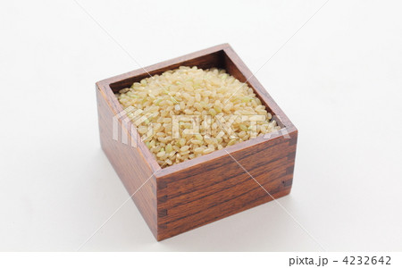 玄米 玄米 4232642