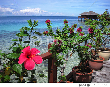 水上コテージ 4232868