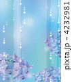 あじさい 4232981