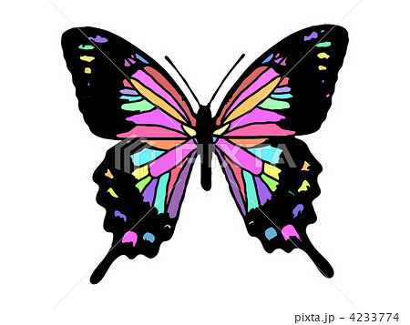 カラフルな蝶のイラスト素材