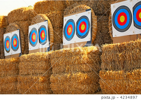 bow targets in a row 4234897