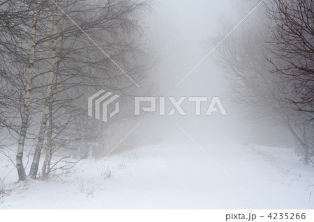 snow road in fog snow road in fog 4235266