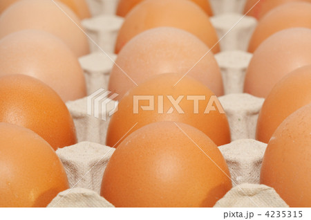 brown eggs in box 4235315