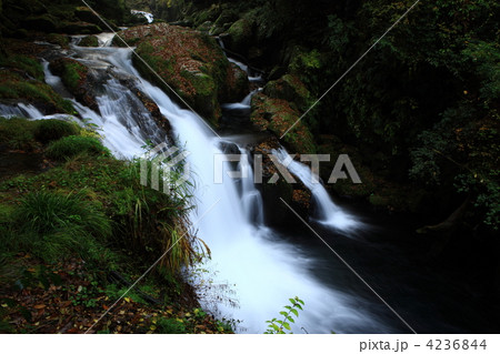 菊地渓谷 4236844