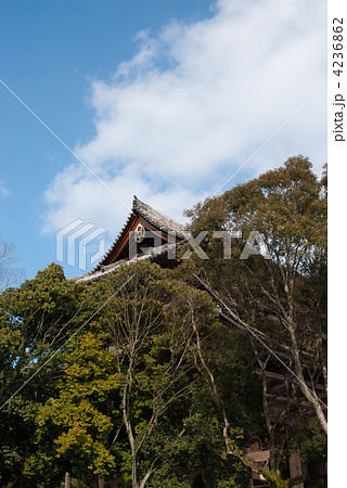 東大寺　南大門 4236862