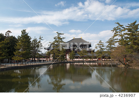 東大寺　鏡池と大仏殿 4236907