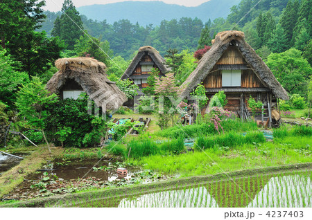 梅雨の白川郷 4237403