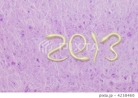 2013年　 巳年 4238460