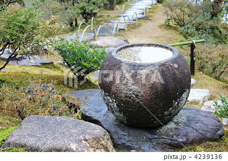 桂離宮・松琴亭から見た月波桜 4239136