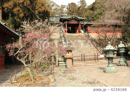 久能山東照宮の唐門 4239166