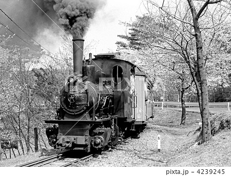 1974西武山口線(謙信号)（埼玉県所沢市） 4239245