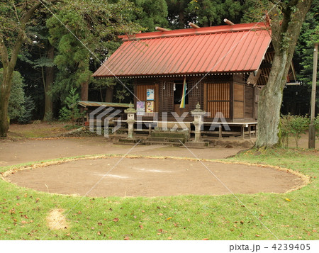 野々宮神社奉納相撲場 4239405