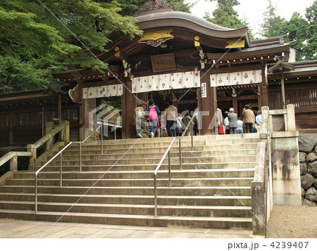 高麗神社 4239407