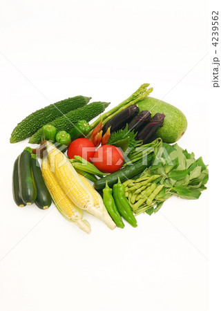 夏野菜 夏野菜 4239562