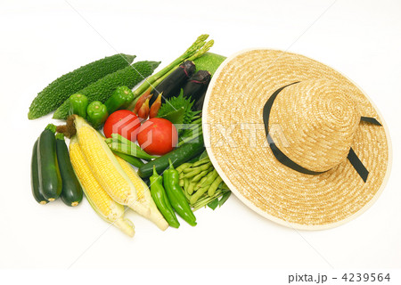夏野菜 4239564
