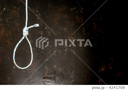 Loop Loop 4241709