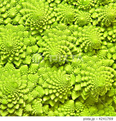 cabbage romanesco background 4241769