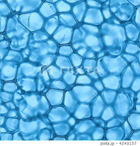 cell blue background 4243157