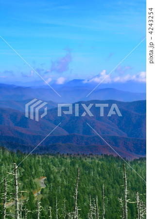 Great Smoky Mountains, USA 4243254