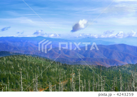 Great Smoky Mountains, USA 4243259
