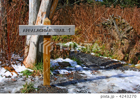 appalachian trail in Great Smoky Mountains, USA 4243270
