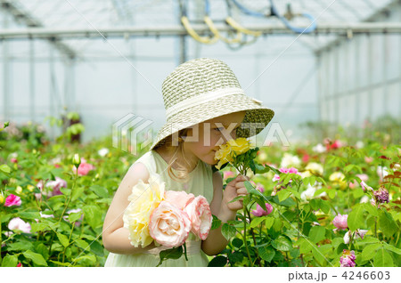 Girl in a greenhouse Girl in a greenhouse 4246603