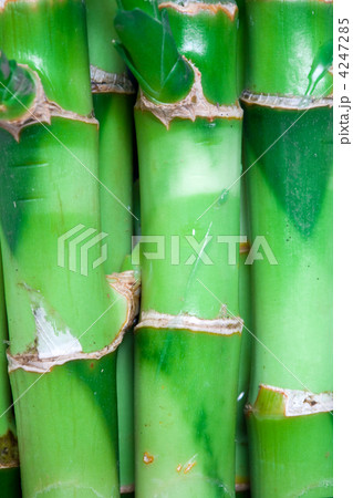 Bamboo stems Bamboo stems 4247285