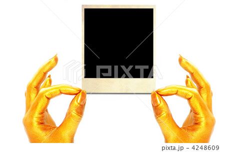 4248609