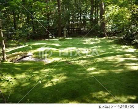 野宮神社 野宮神社 4248750