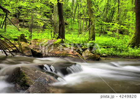 Water and leaves 4249820