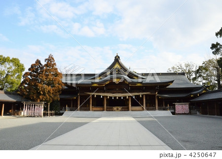 寒川神社拝殿 寒川神社拝殿 4250647
